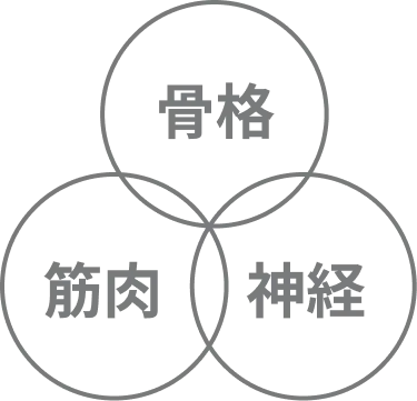 身体の3つのバランス(骨格・筋肉・神経)